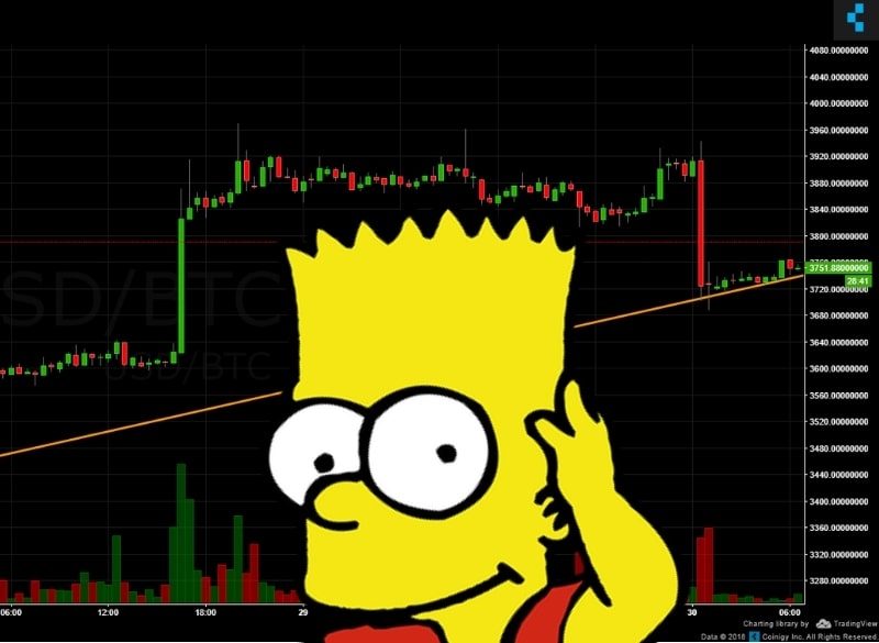 bart2-min