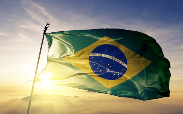 brazil bitcoin fomo
