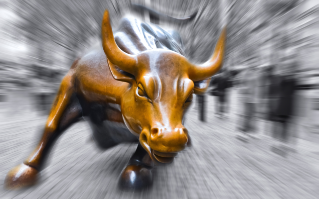 bull bitcoin